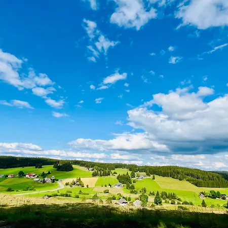 Mitten Im Schwarzwald Mit Infrarot-Sauna Und Garagenparkplatz Schoenwald im Schwarzwald Exterior photo