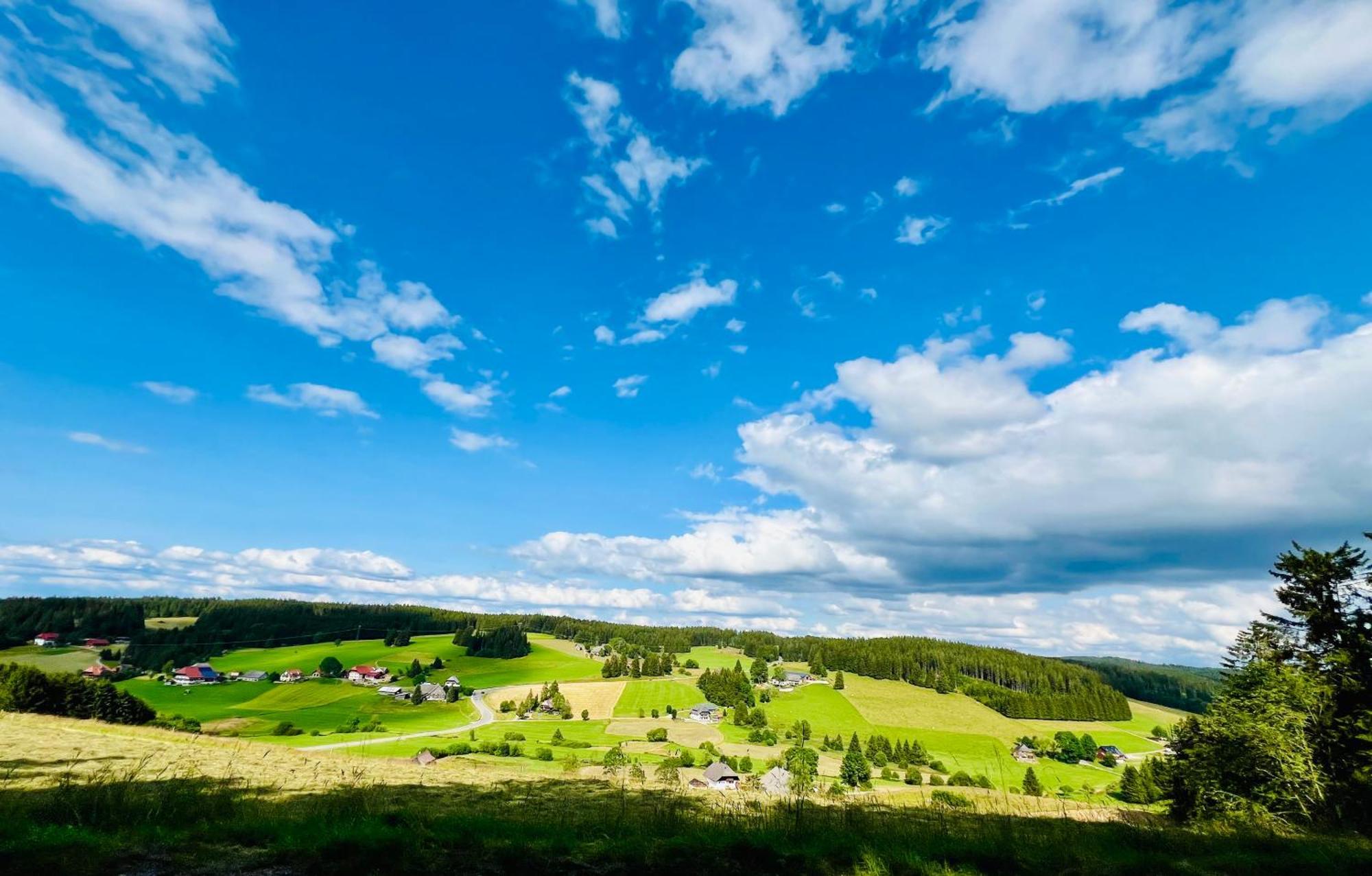 Mitten Im Schwarzwald Mit Infrarot-sauna Und Garagenparkplatz